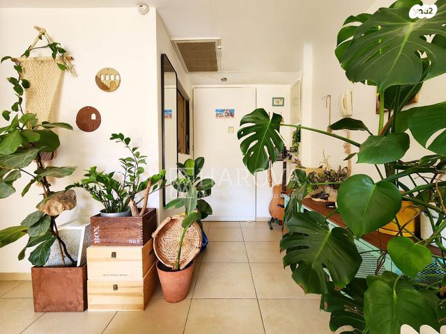 דירה, רבי פנחס, תל אביב יפו