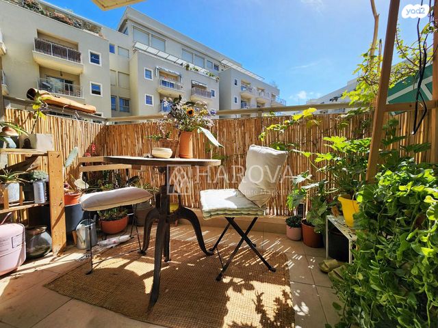 דירה, רבי פנחס, תל אביב יפו