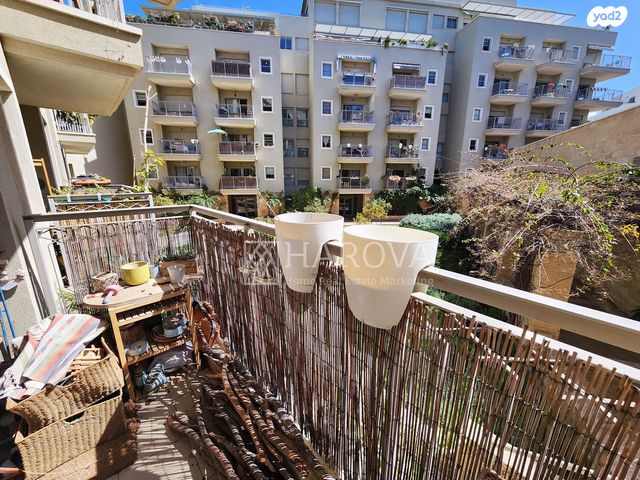 דירה, רבי פנחס, תל אביב יפו