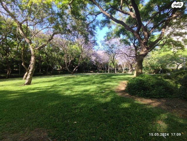 דירת גן, שביל ברלינר, תל אביב יפו