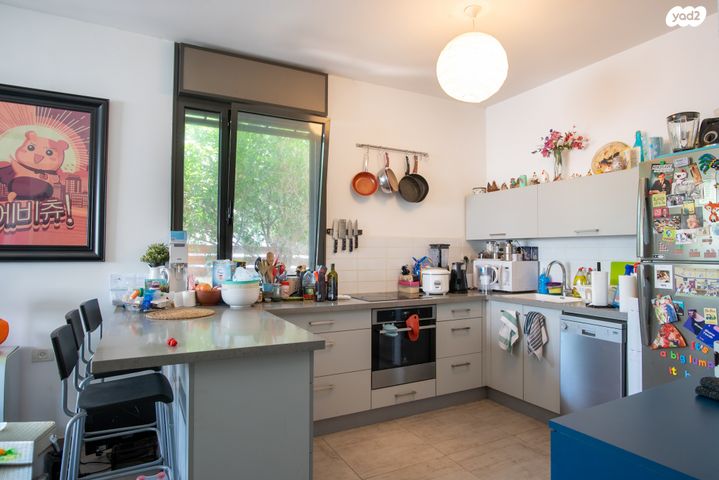 דירת גן, בעל העקידה, שפירא, תל אביב יפו