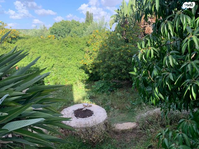 בית פרטי/ קוטג', כרם מהר"ל