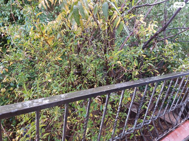 דירה, הרב עוזיאל, מוצקין הותיקה, קרית מוצקין