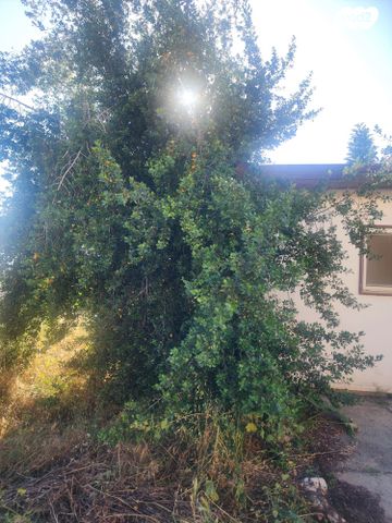 דו משפחתי, כפר החורש