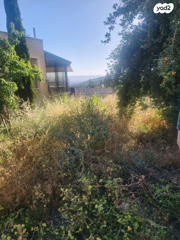 דו משפחתי, כפר החורש