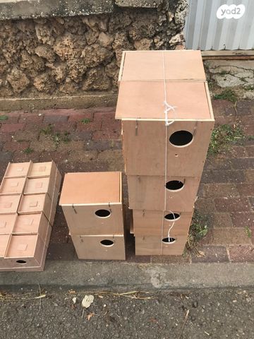 תמונת מודעה - חיות מחמד