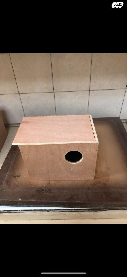 תמונת מודעה - חיות מחמד