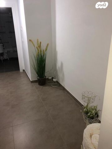 דירה, קרית ביאליק