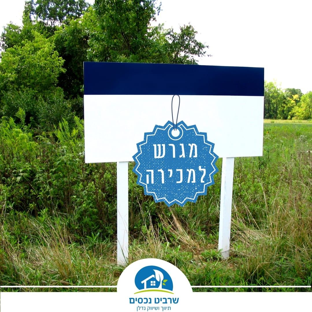 מגרשים