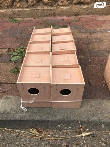 תמונת מודעה - חיות מחמד