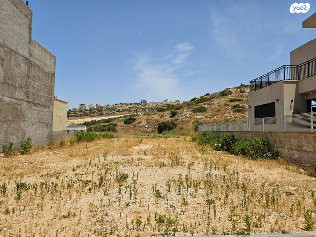 מגרשים