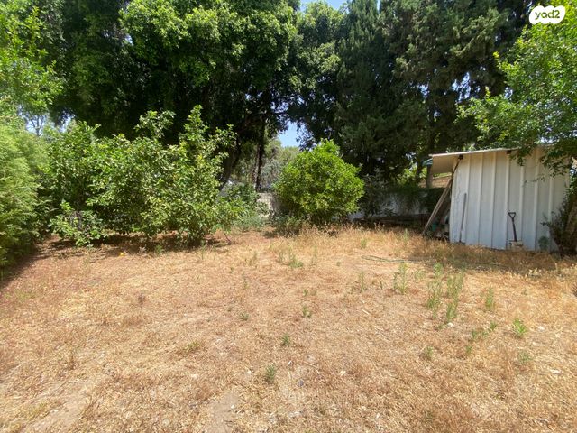 יוסף ויתקין 