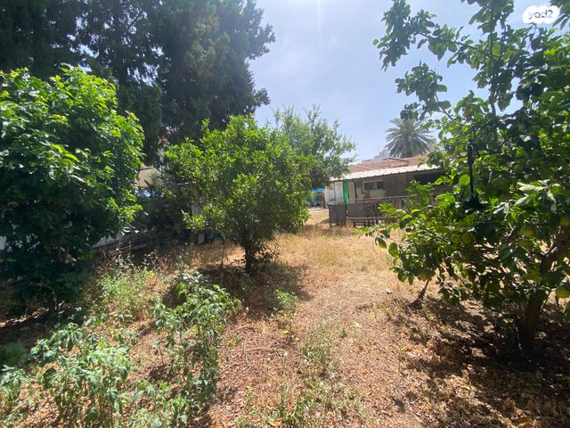 מגרשים, יוסף ויתקין, נאות גנים, נתניה