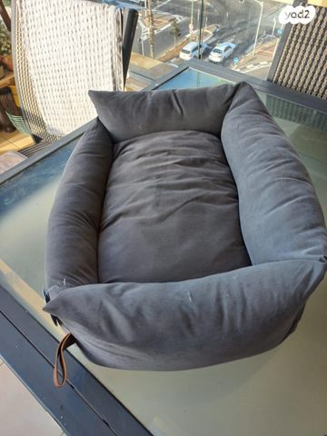 תמונת מודעה - חיות מחמד