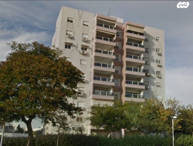 אליקים המלך 