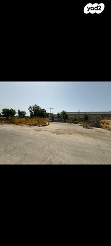 מגרשים