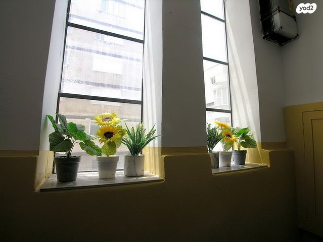 דירה, תל אביב יפו