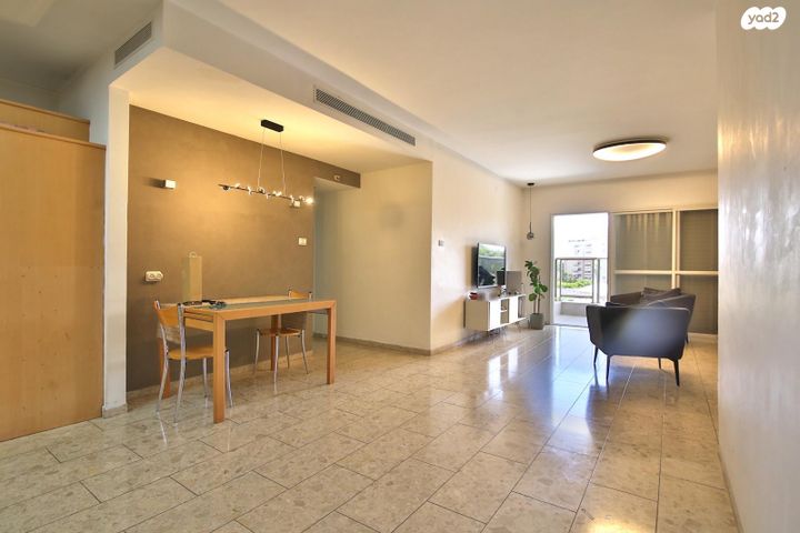 מנחם שניאורסון 