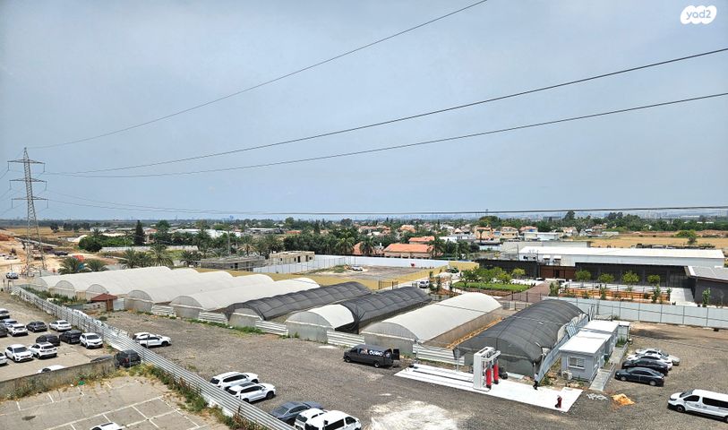 משרדים, לוד