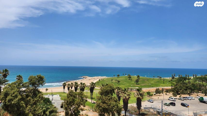 עג'מי, גבעת העליה