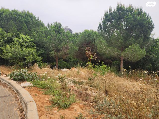 בית פרטי/ קוטג', הזורע, קציר