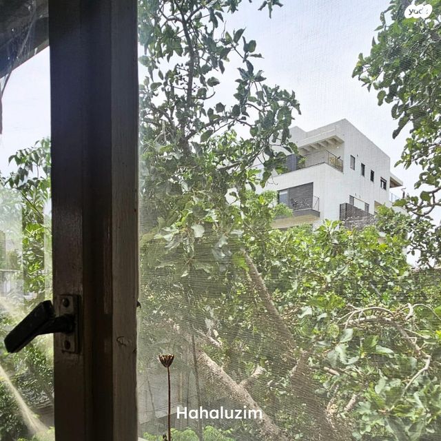 דירה, הגדוד העברי, תל אביב יפו