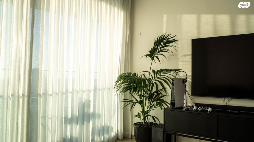 דירה, תל אביב יפו