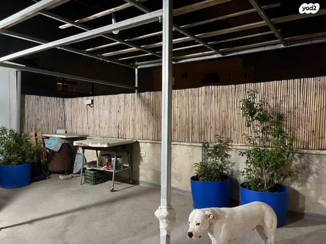 גג/ פנטהאוז, ברטנורא, המרכז השקט / מרכז העיר, פתח תקווה