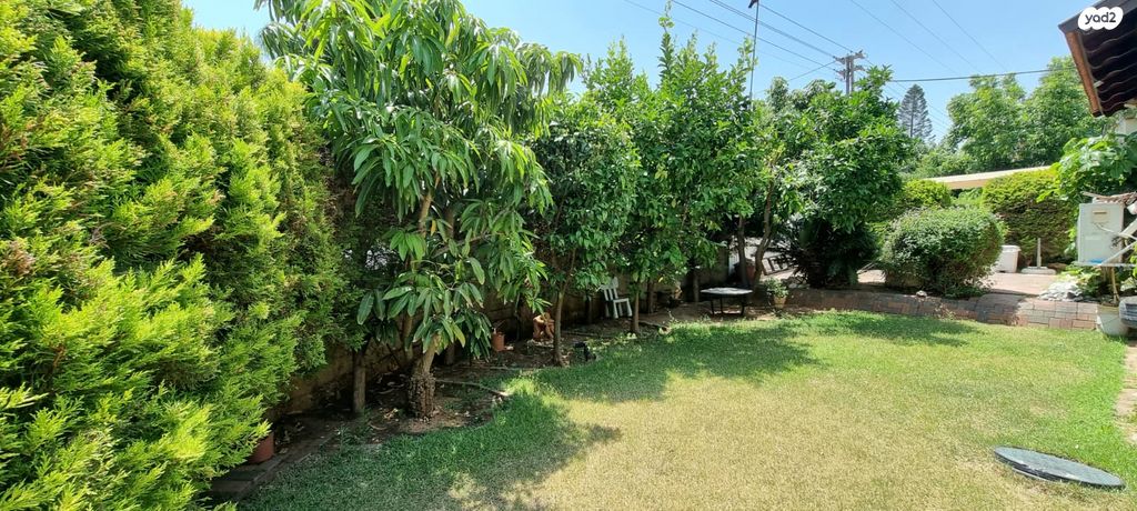 דו משפחתי, אורנית