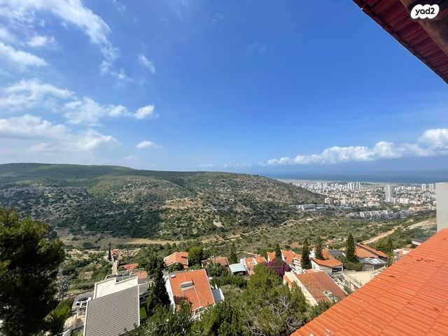 שארית הפליטה 