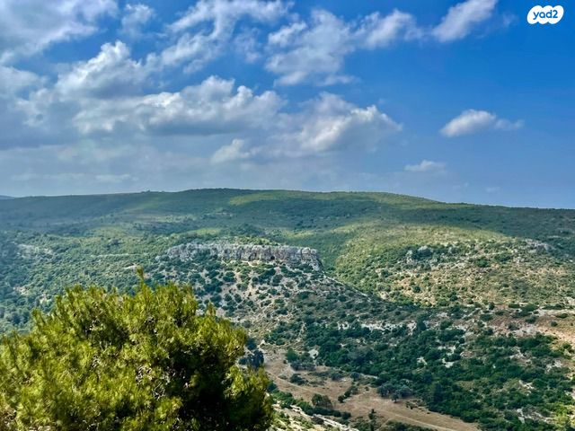 דו משפחתי, שארית הפליטה, חיפה