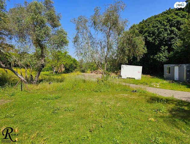 בית פרטי/ קוטג', סביון