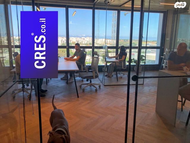 משרדים, רעננה