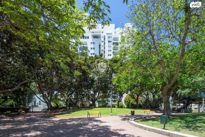 גג/ פנטהאוז, פישמן מיימון, תל אביב יפו