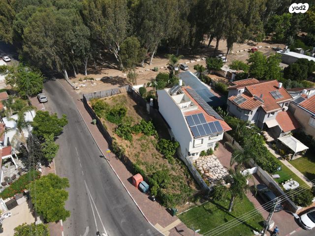 מגרשים, שמואל הנגיד, רעננה