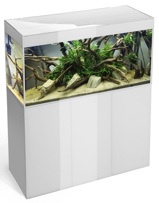 אביזרים | אקווריום