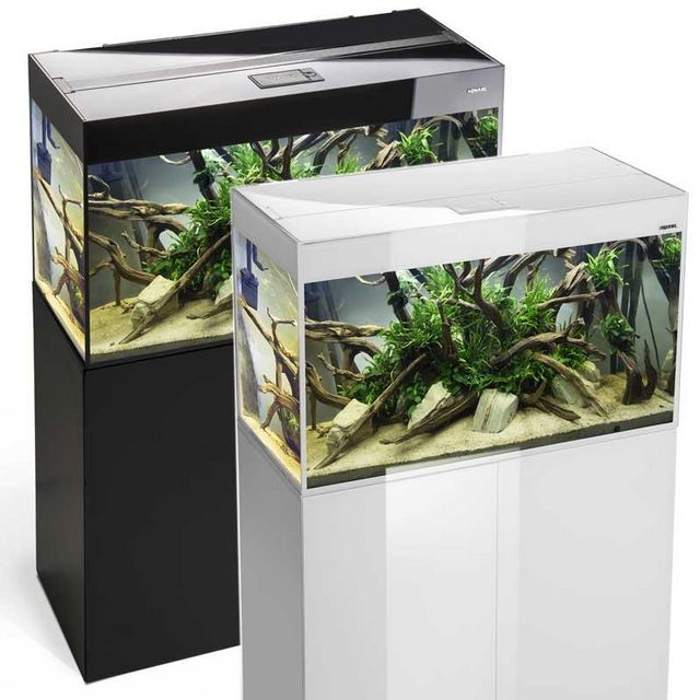 אביזרים | אקווריום