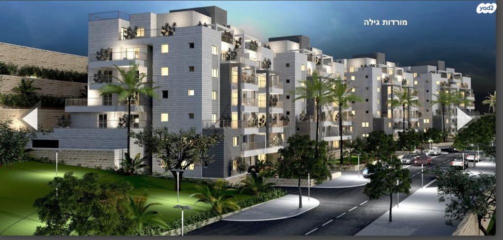 אבנר חי שאקי 