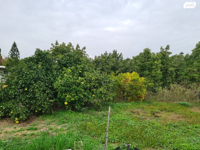 משק חקלאי/ נחלה