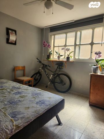 האורן 15