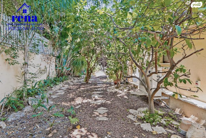 דו משפחתי, קיסריה