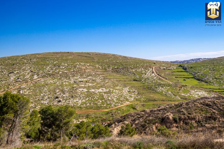 דירה, עמנואל זיסמן, חומת שמואל, הר חומה, ירושלים
