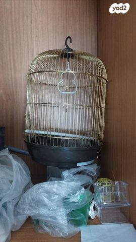 תמונת מודעה - חיות מחמד