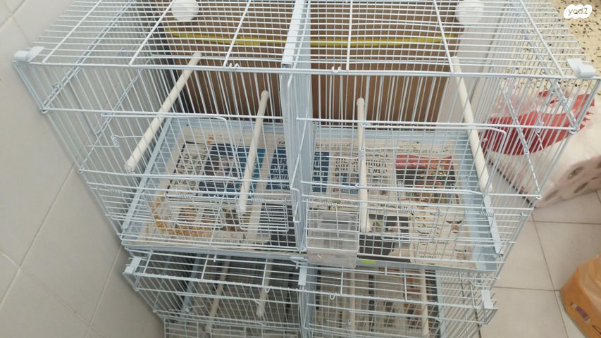 אביזרים | כלוב האכלת יד