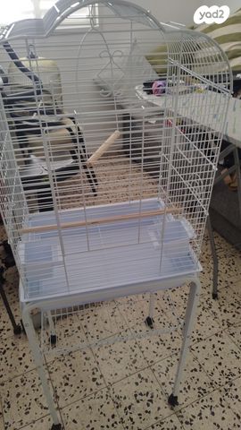 אביזרים | כלוב האכלת יד