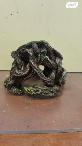 תמונת מודעה - חיות מחמד