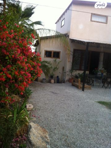 דירה, ורד יריחו