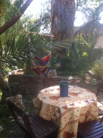 דירה, ורד יריחו