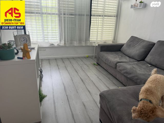 דירה, אלי כהן, שאר העיר, כפר יונה