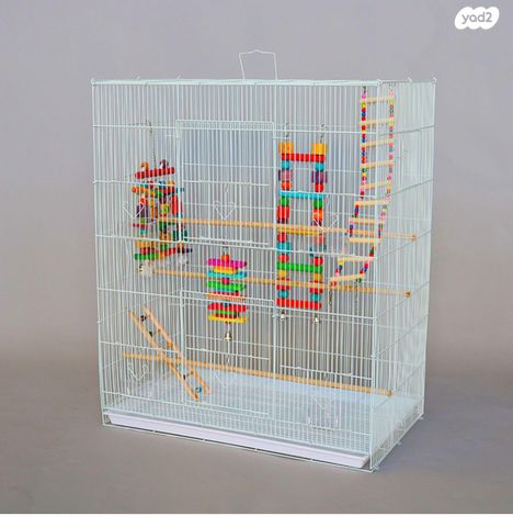 תמונת מודעה - חיות מחמד